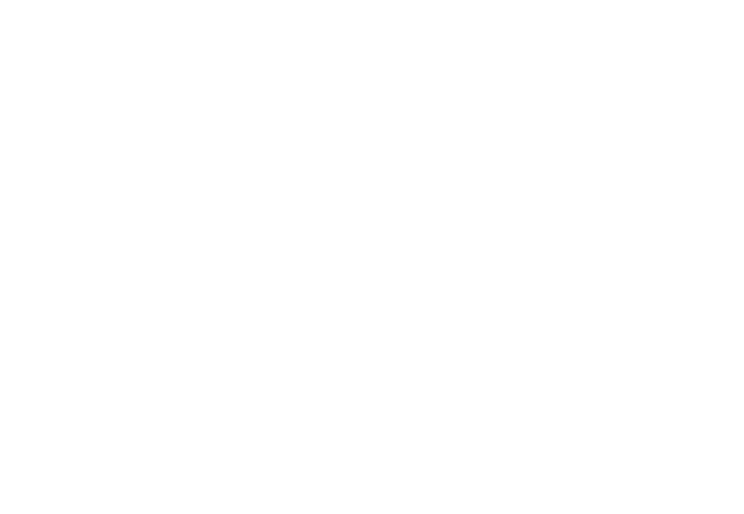 PI Immobilier